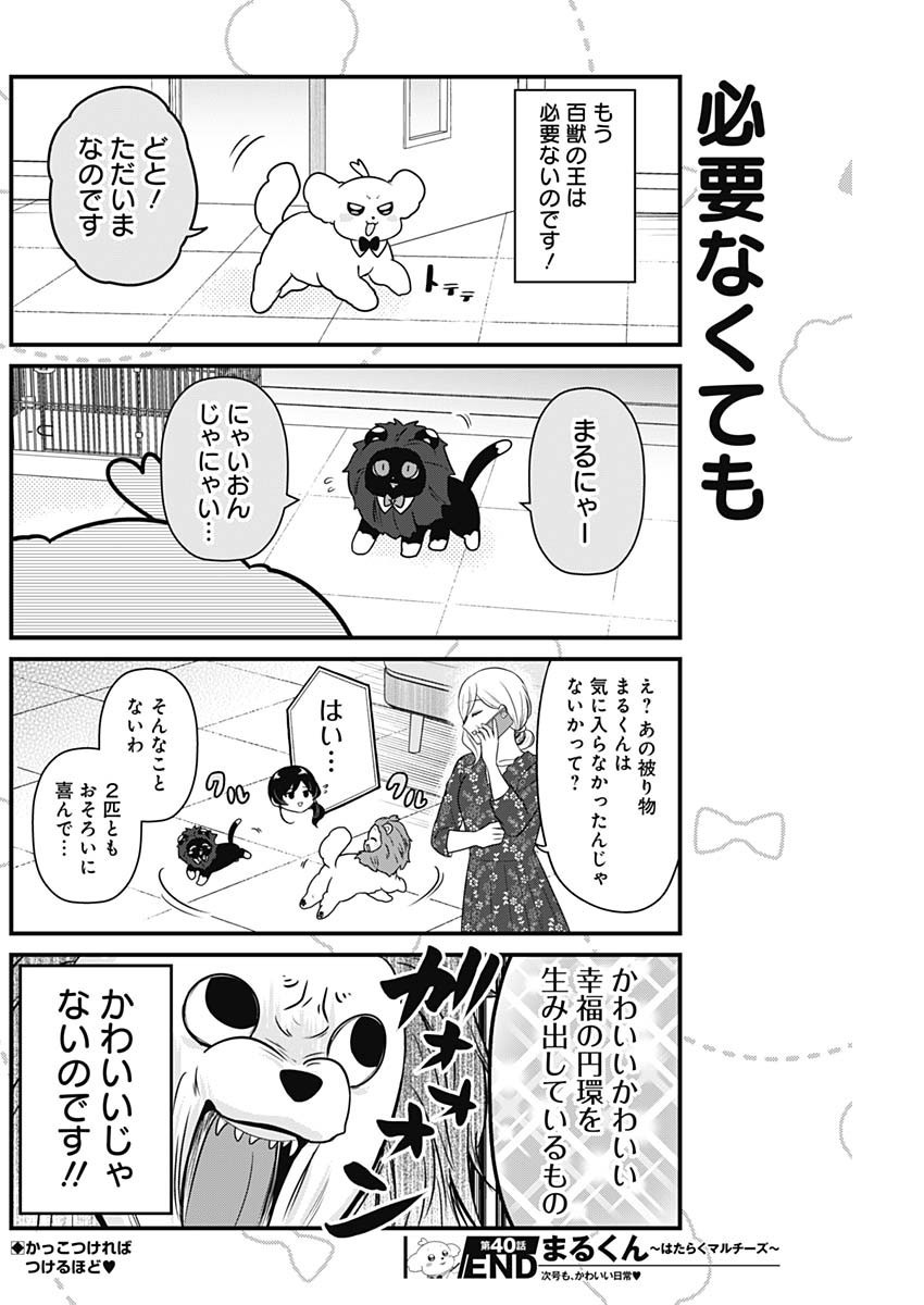 Maru-kun - Hataraku Maltese - Chapter 40 - Page 8