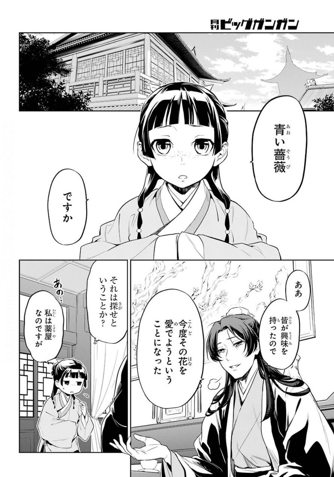 Kusuriya no Hitorigoto - Chapter 36-1 - Page 10