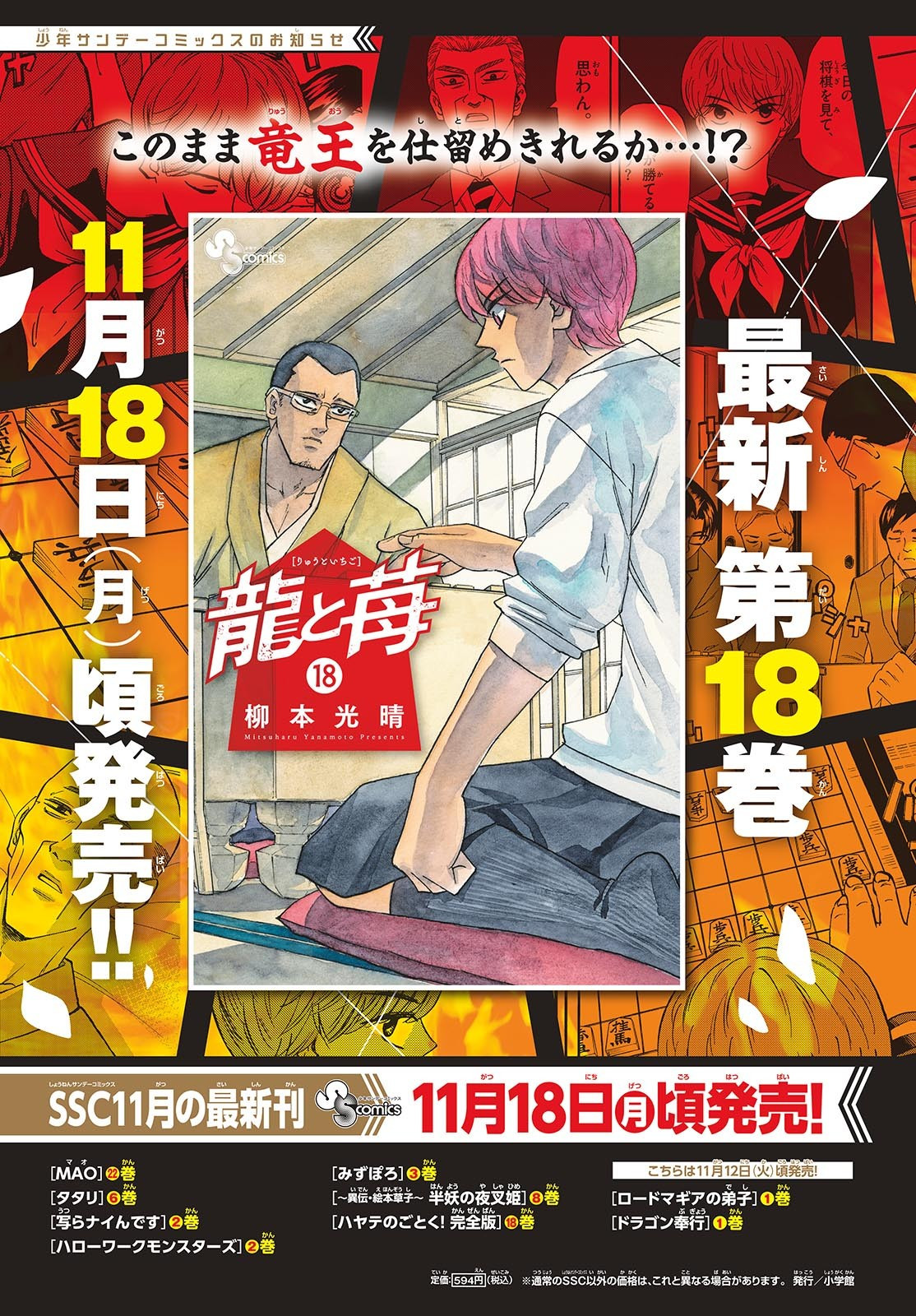 Weekly Shōnen Sunday - 週刊少年サンデー - Chapter 2024-50 - Page 17